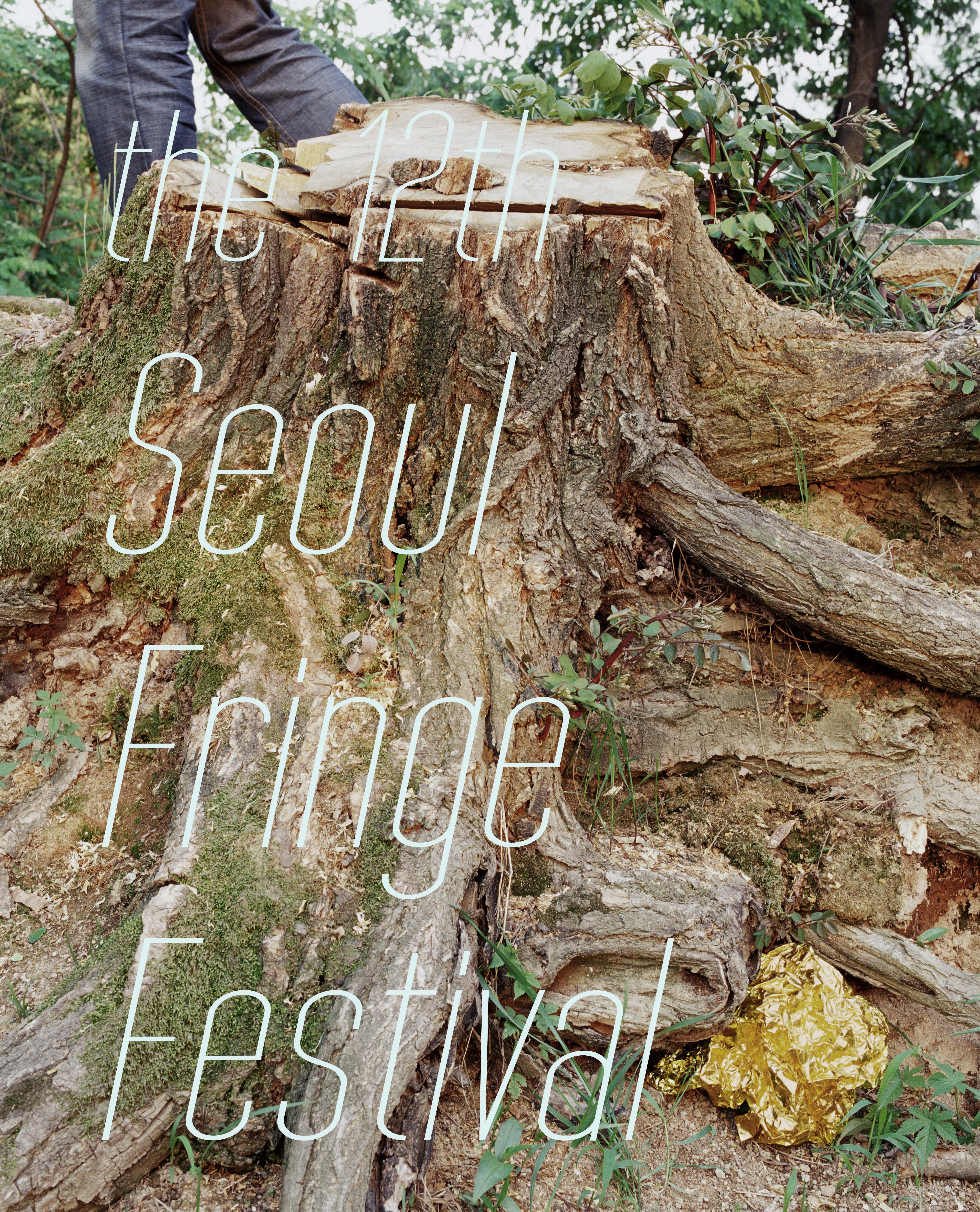 2009 ������