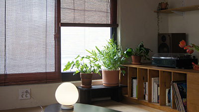 ���� ����